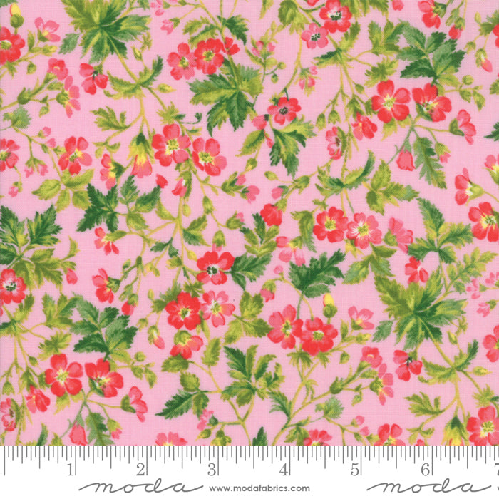 33382 13 Wildflowers IX Petunia By-the-Yard