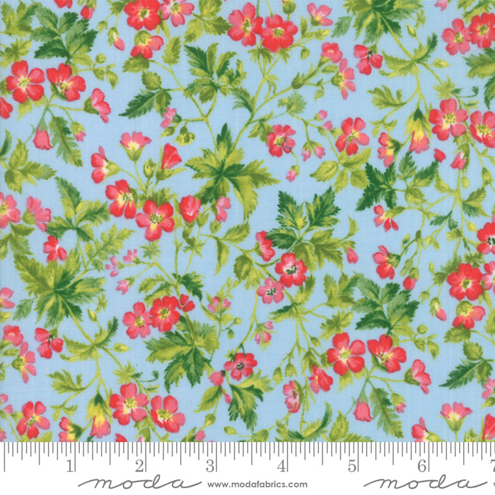 33382 16 Wildflowers IX Bluebell By-the-Yard