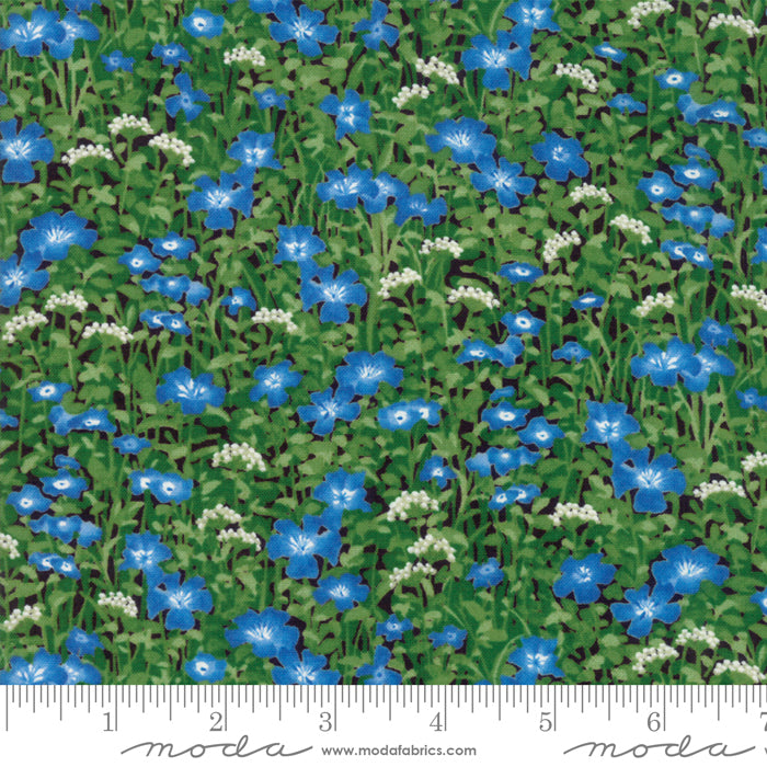 33383 17 Wildflowers IX Bluebell By-the-Yard