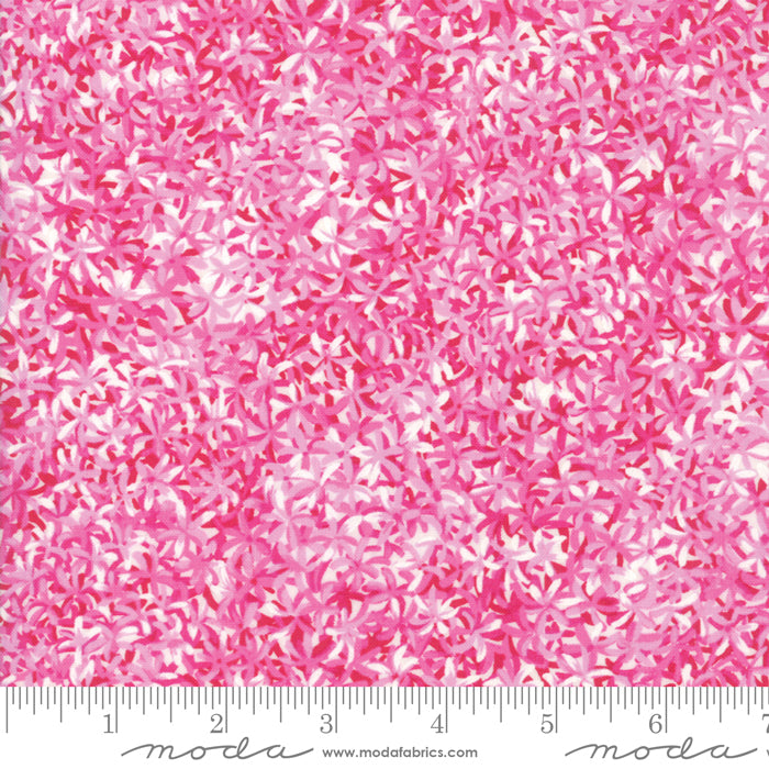 33384 12 Wildflowers IX Petunia By-the-Yard