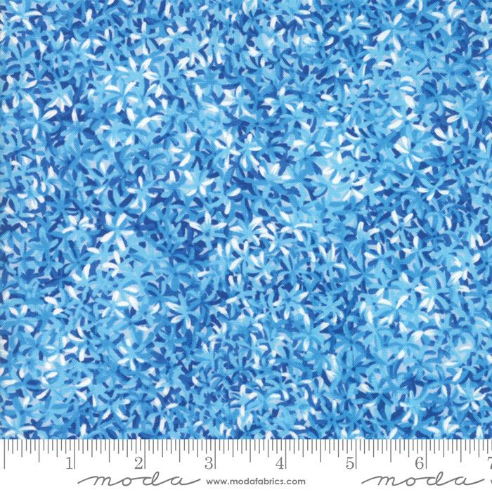 33384 17 Wildflowers IX Bluebell By-the-Yard