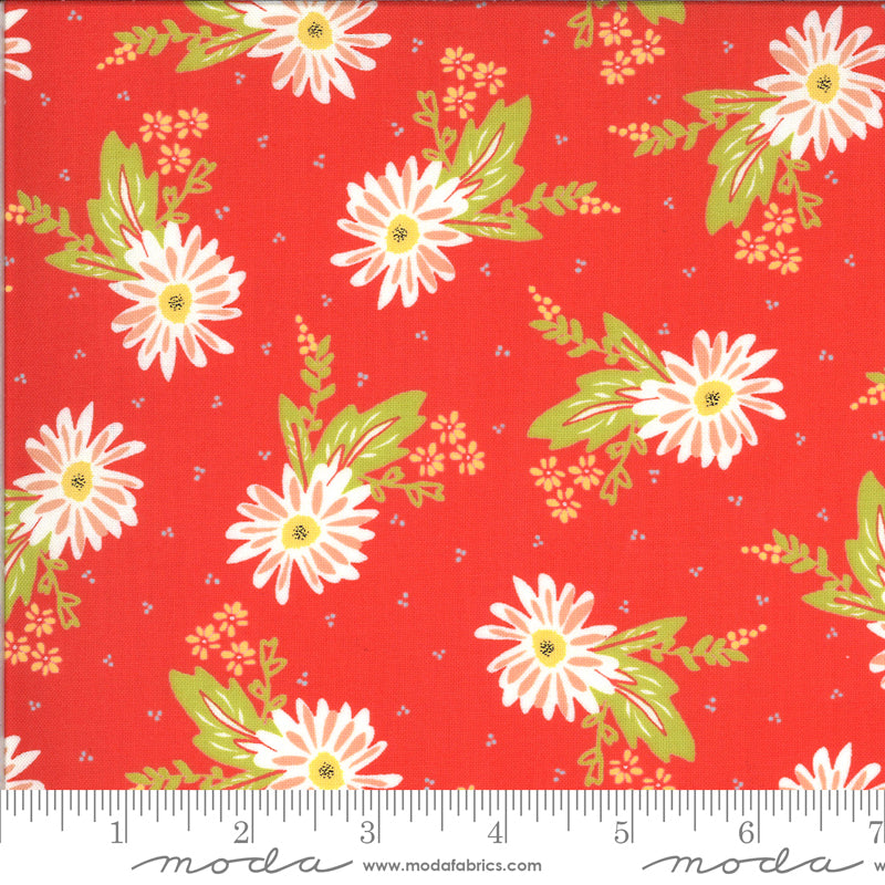 37600 14 Happy Days Carnation Geranium By-the-Yard