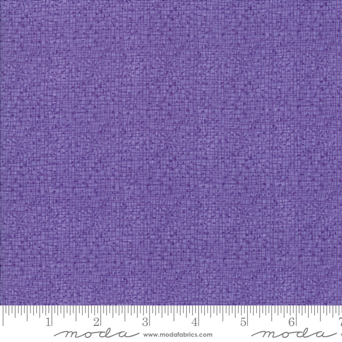 48626 33 Thatched Aster By-the-Yard