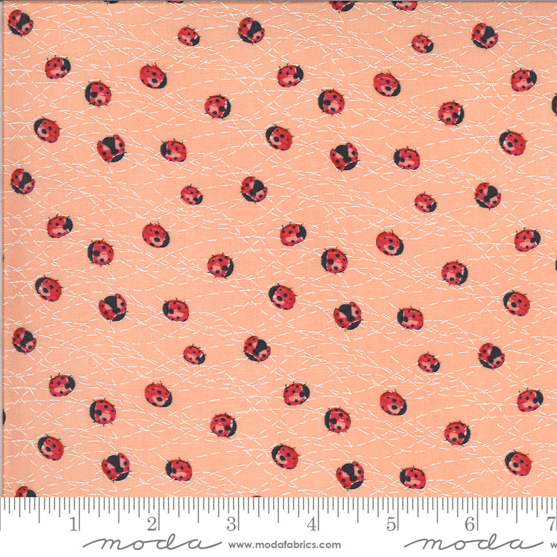 48684 19 Solana Ladybug Peach By-the-Yard