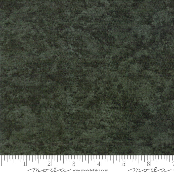 6538 173 Fresh Off The Vine Zucchini 9" End-of-Bolt Piece