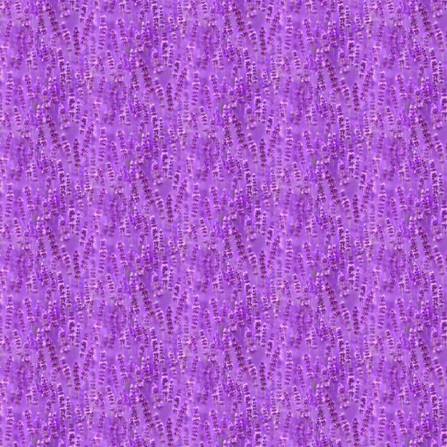 SDP23825 84 Lavender Fields Lavender By-the-Yard