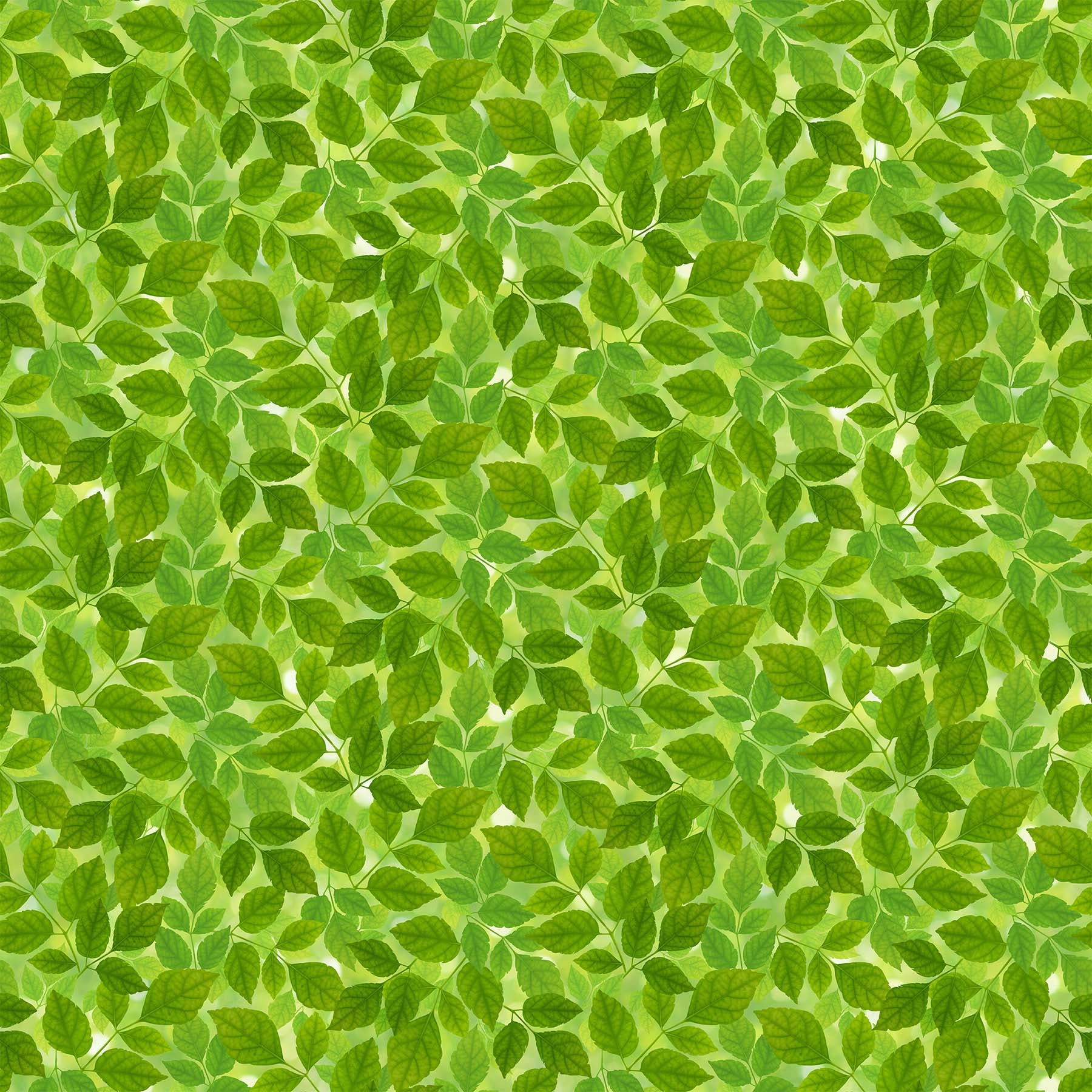 SDP23849 74 Budding Romance Leaves By-the-Yard