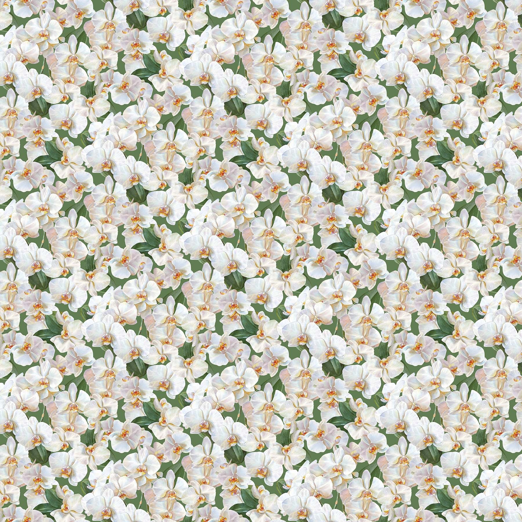 SDP23871 74 Orchids in Bloom Orchids White/Green 31" End-of-Bolt Piece