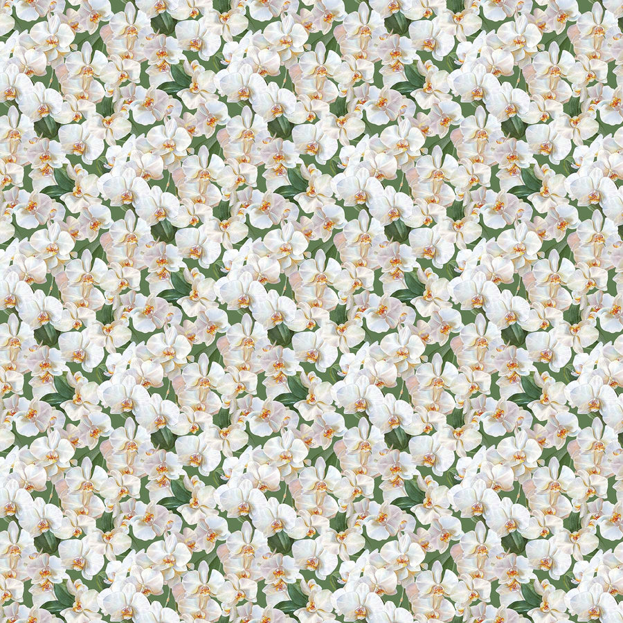 SDP23871 74 Orchids in Bloom Orchids White/Green 31" End-of-Bolt Piece